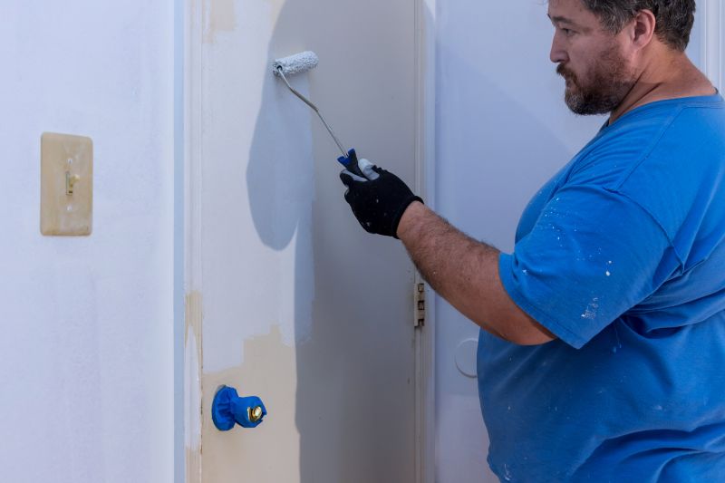 Interior Door Painting